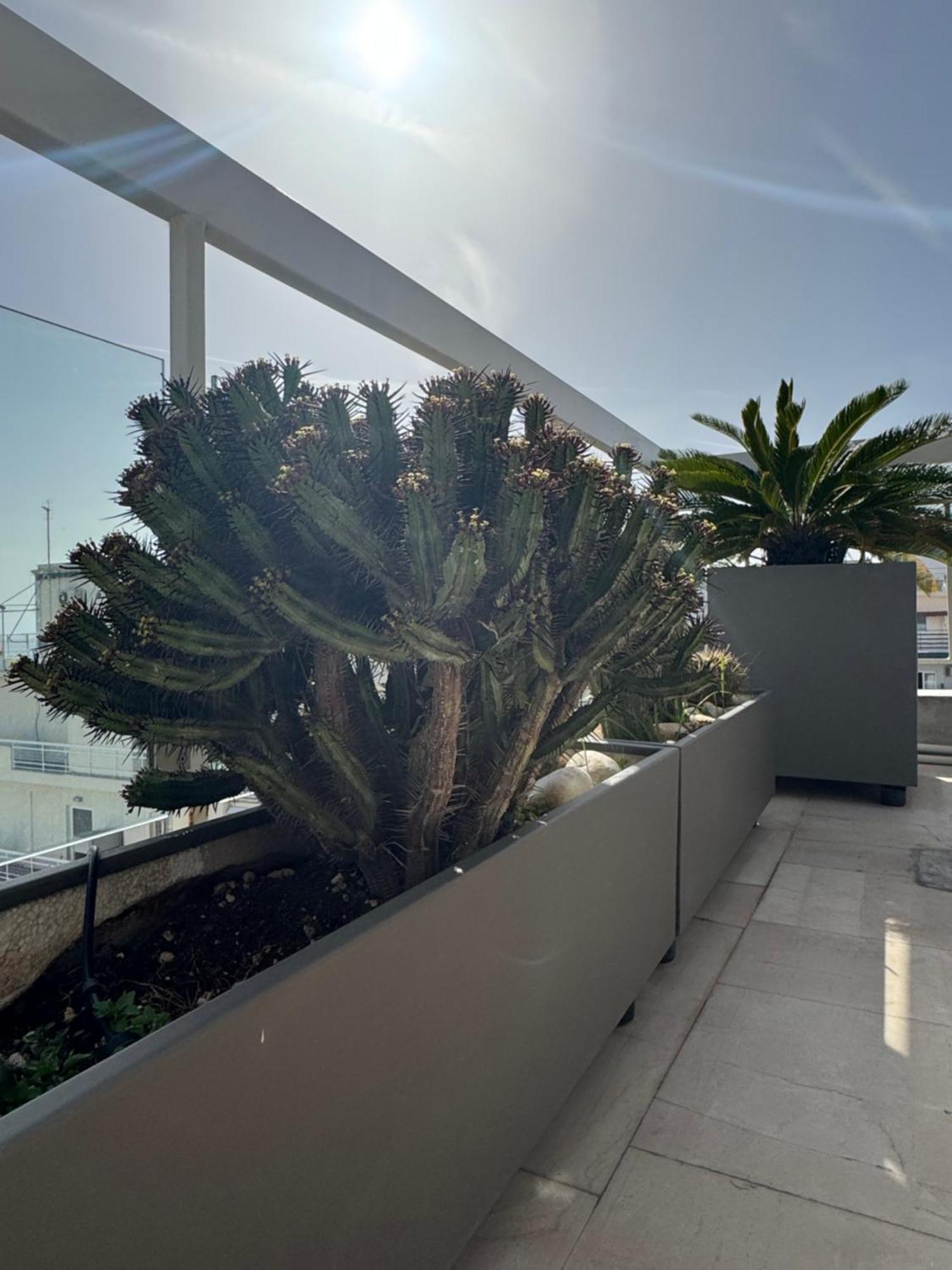 Sea Horizon Penthouse Flat Atenas Exterior foto